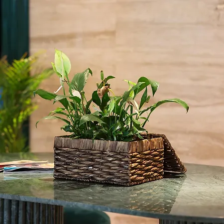 Hotel Voger Alacati Prive Cesme