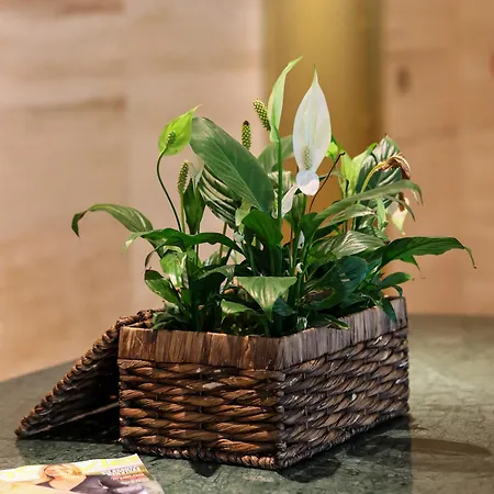 Hotel Voger Alacati Prive Cesme